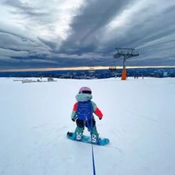 MDXONE MDXONE OX Harnais Rétractable Bleu Pour Ski Et Planche -Rossignol || K2 || Smith Sales Store mdxone ox harnais retractable bleu pour ski et pla 2