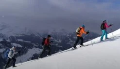 Montana MONTANA M PEAU D'ACCROCHE NYLON CUT & GO M CLAMP 20 -Rossignol || K2 || Smith Sales Store montana m peau daccroche nylon cut go m clamp 20 2