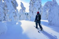 OAC SKINBASED OAC WAP 129 Bleu-blanc Ski Raquette -Rossignol || K2 || Smith Sales Store oac wap 129 bleu blanc ski raquette 2