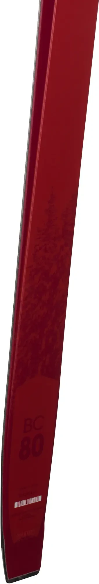 ROSSIGNOL Rossignol BC 80 Positrack Ski De Fond Sr 2 ROSSIGNOL Rossignol BC 80 Positrack Ski De Fond Sr - Image 2